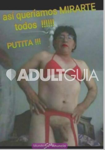 Maduro gay QUIERO  SER  TU  PUTA, y sentir tu verga en mi boca!!  - Foto 7