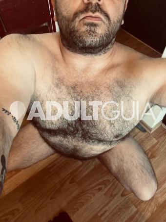 Excelente osito peludo , cariñoso , travieso y juguetón , amo el sexo  - Foto 0