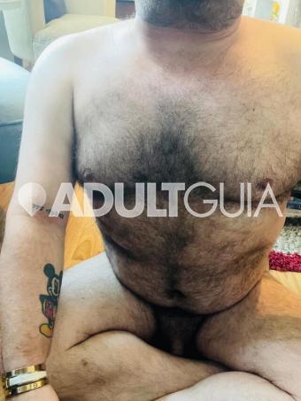 Excelente osito peludo , cariñoso , travieso y juguetón , amo el sexo  - Foto 1