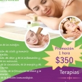 Masajes relajantes holisticos y tantricos para mujeres. - Foto 1